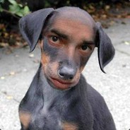 Wolfgang
