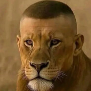 𝘽𝘼𝙉𝘿𝙄𝙏𝙏𝙊