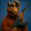 Alf