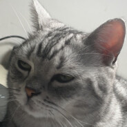 尊严只在剑锋之上,真理只在大炮射程之内