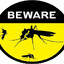 Mosquito