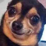 元气少女郭德纲