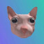 IlovBingus