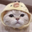 ttttttttttttt