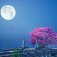 徽哥别急我在路上