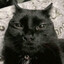 Thiagooblas