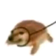 国家职业资格一级厨师