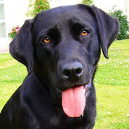 monty_beast