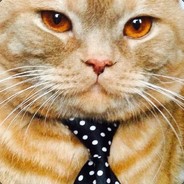 Kanutan_Kot Steam avatar