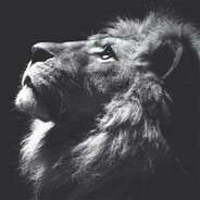 GFN1 avatar