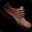 brown shoe