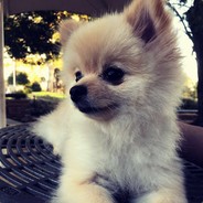 咋回事啊小老弟