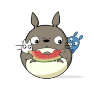 天才笨蛋龙猫！参上！