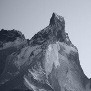 手柄个人练习生罗非鱼