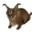 Rumänsk Katt