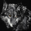 Wolfy