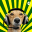 Dog caramelo
