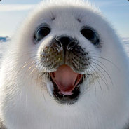 StevenTheSeal