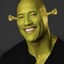 shrek the rock