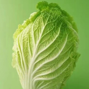 别压力我我贼菜