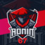 Ronin67
