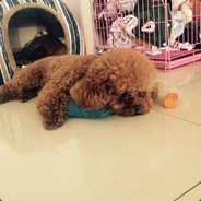 分数没有意义快乐才是真谛