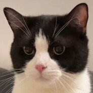 𝕏𝕖𝕣𝕠𝕗𝕦𝕟