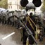 Tactical War Mouse
