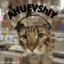 _AHUEVSHIY_