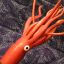 Puppet Squid