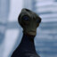 Salarian Tax Collector
