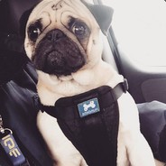 Hummer+Moet=Svindyrt