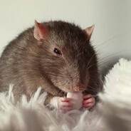 Rabies Ronnie