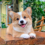 伯乐看了我都说好马