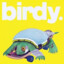 BirdyTheTurtle