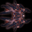 darkstrike3499