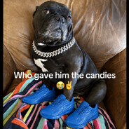 DaWg