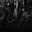 bile swallower