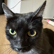 vitya - steam id 76561198069405648