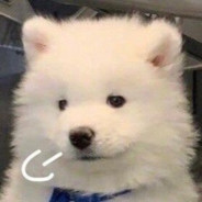 我技术不行噢！