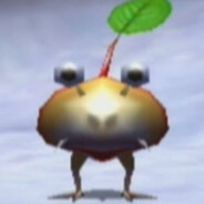 Player Avatar