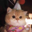 吃小猪猪