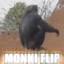 MONKI FLIP