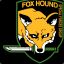 Foxhound Veteran