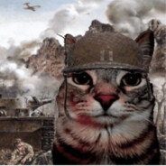 War Cat