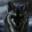 WildWolf