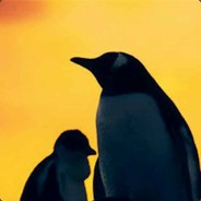黄昏企鹅