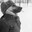 DogFoot
