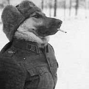 DogFoot