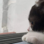 Bean Bean - steam id 76561198980086894